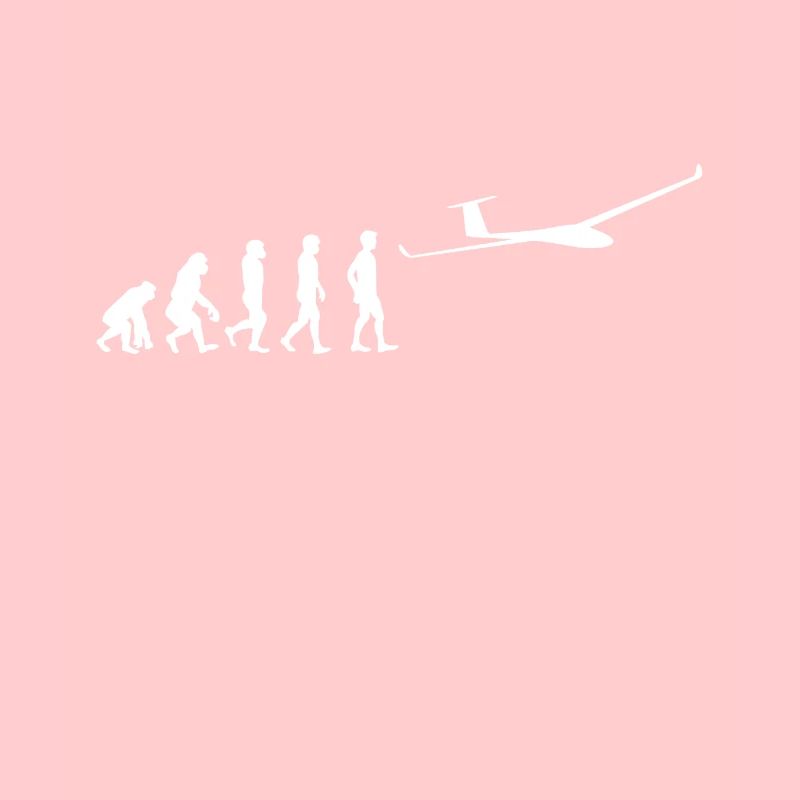 Segelflieger Geschenk Segelflugzeug Evolution