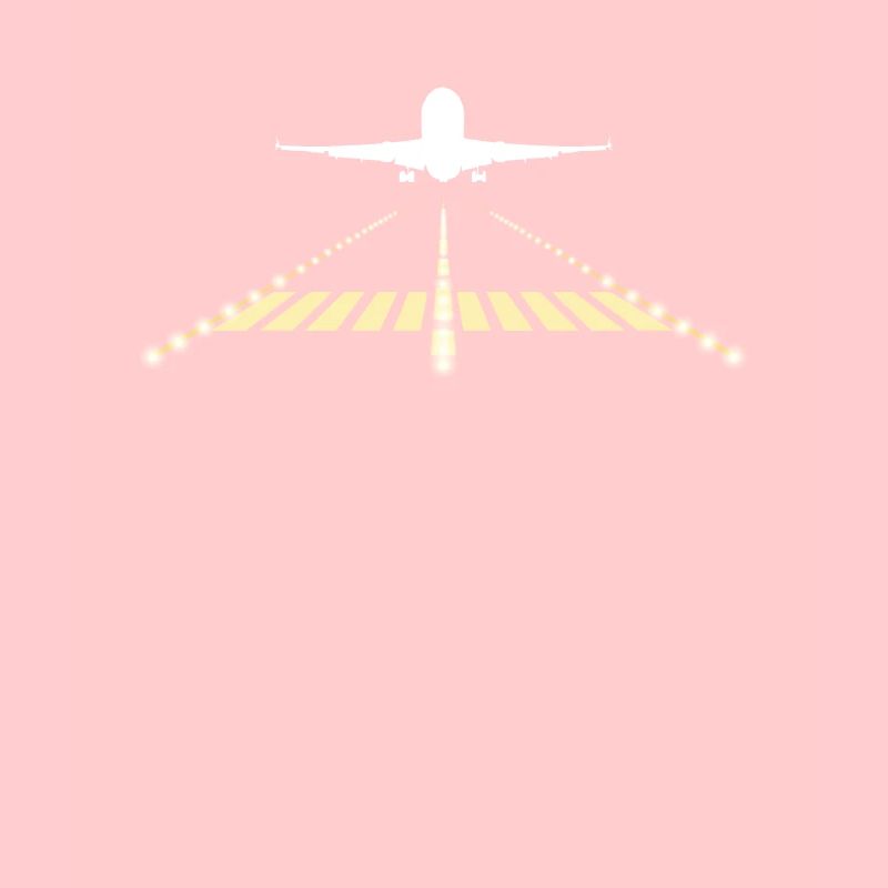 Flugzeug Pilot Landebahn T-Shirt Geschenk