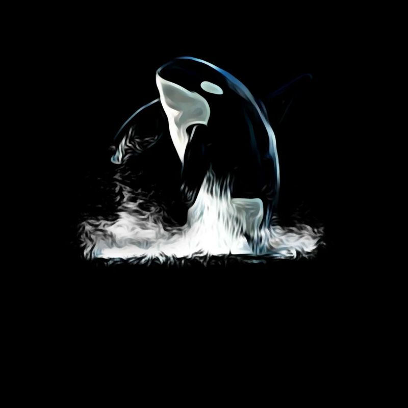 Orca