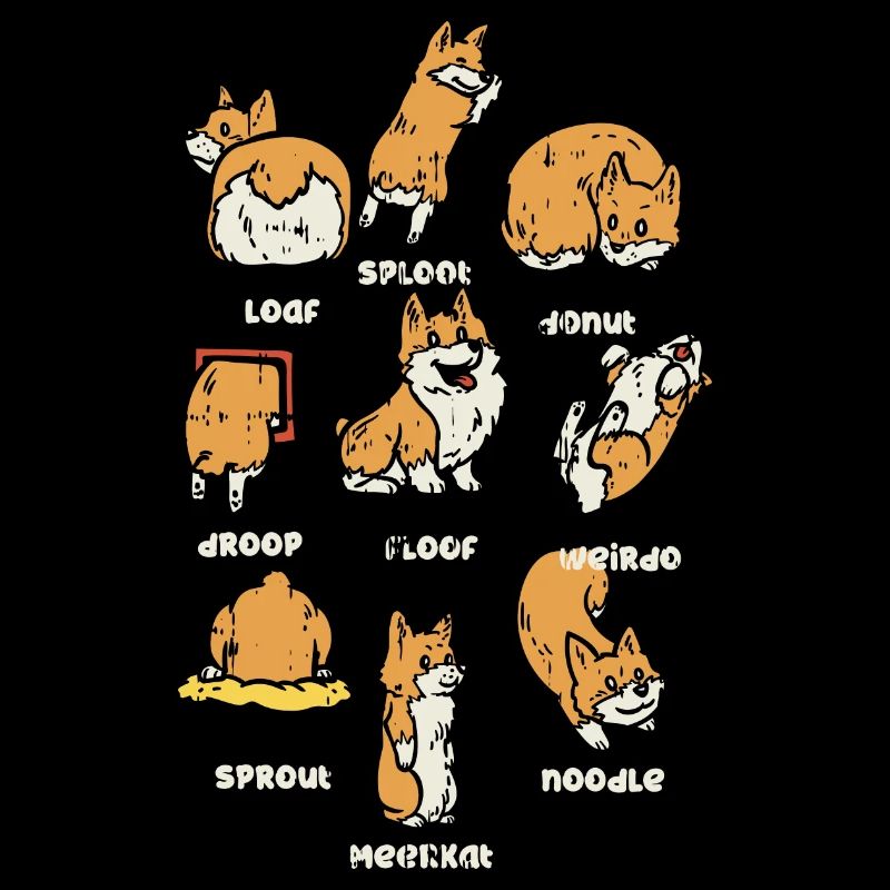 Corgi s