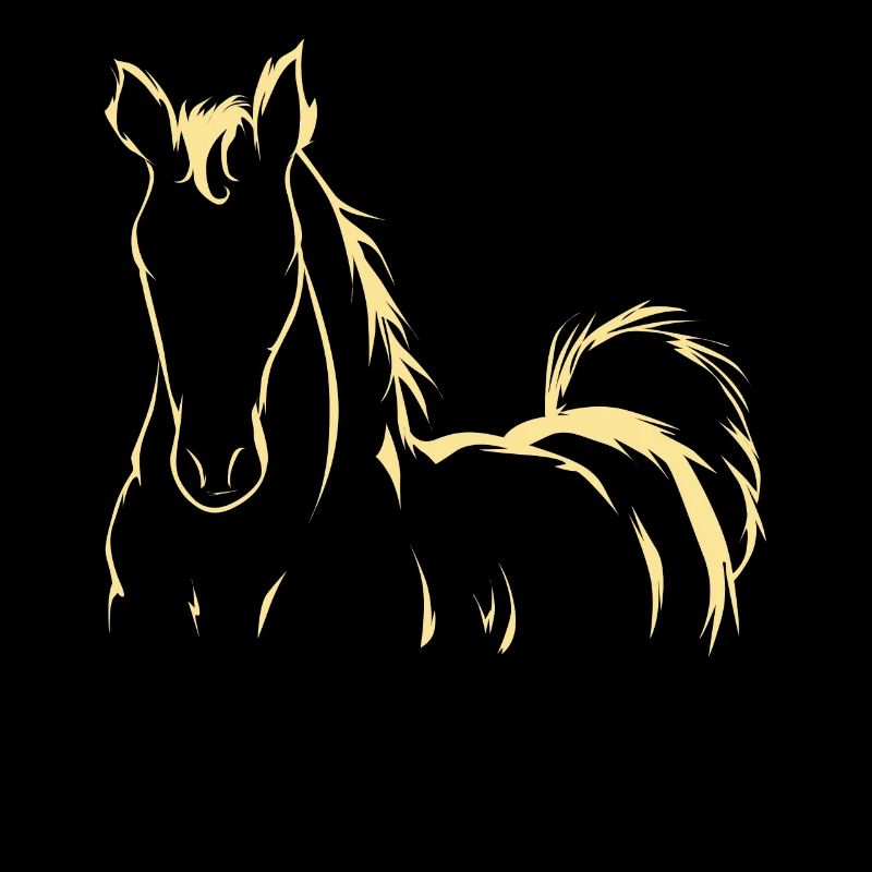Cadeau poney cavalier