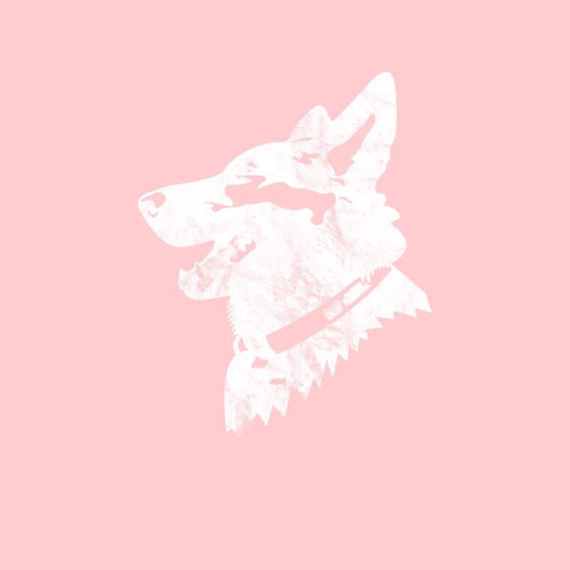 Chiens