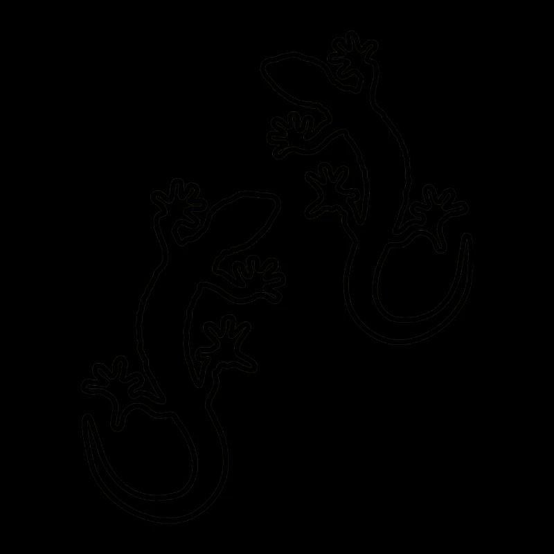 Gecko Two