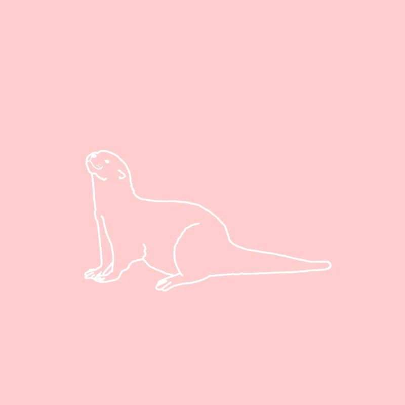 Otter