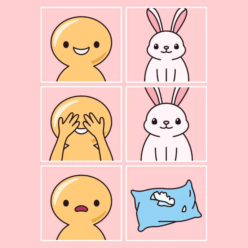 Rabbit Pillow Broken Design for Rabbit Fans