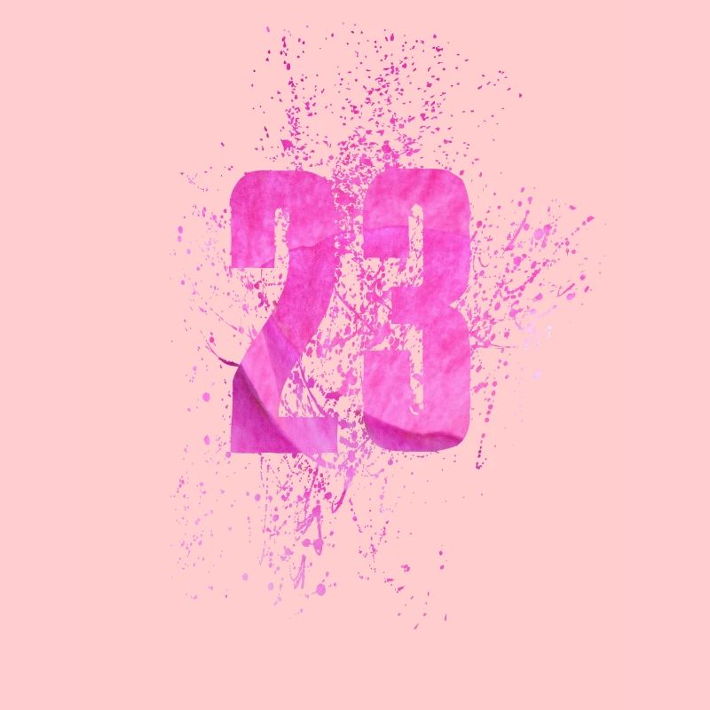 Numéro 23