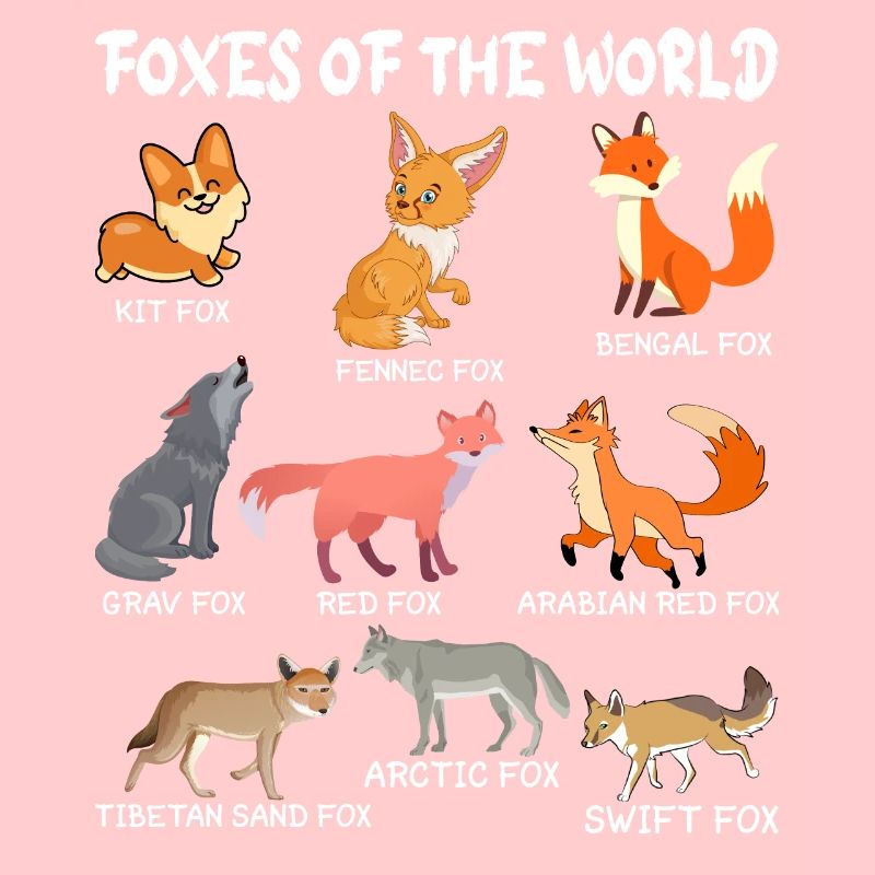 Fuchs Füchse Waldtier Rotfuchs