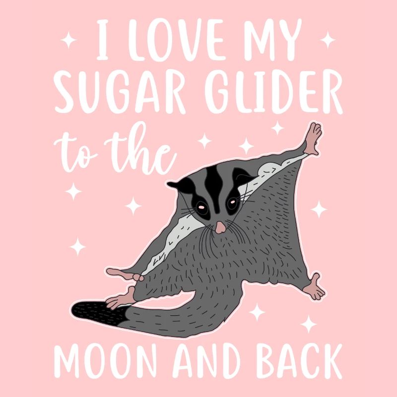 Sugar glider