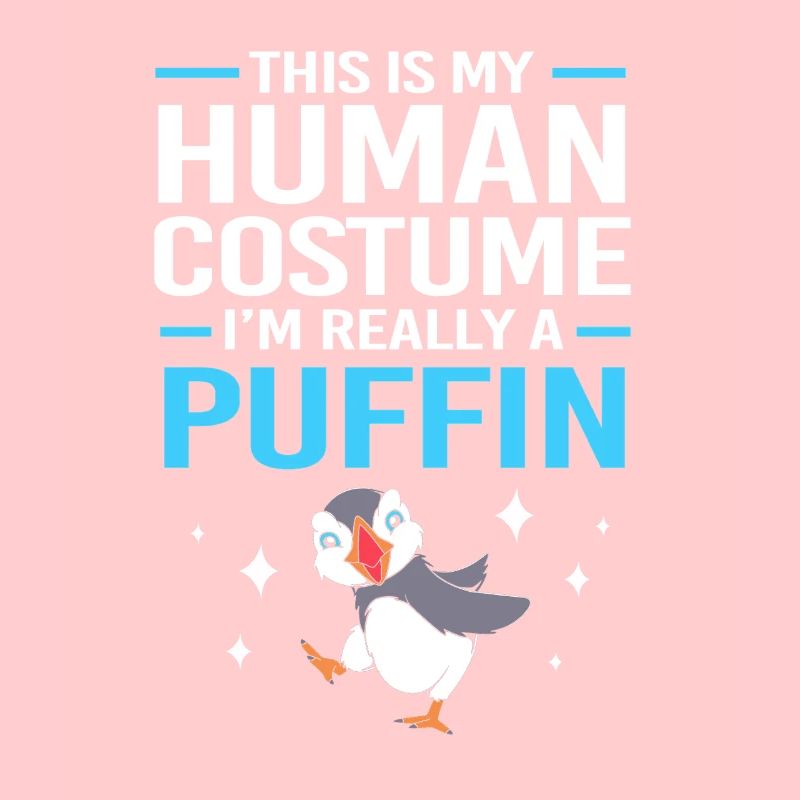 Papageientaucher Puffin