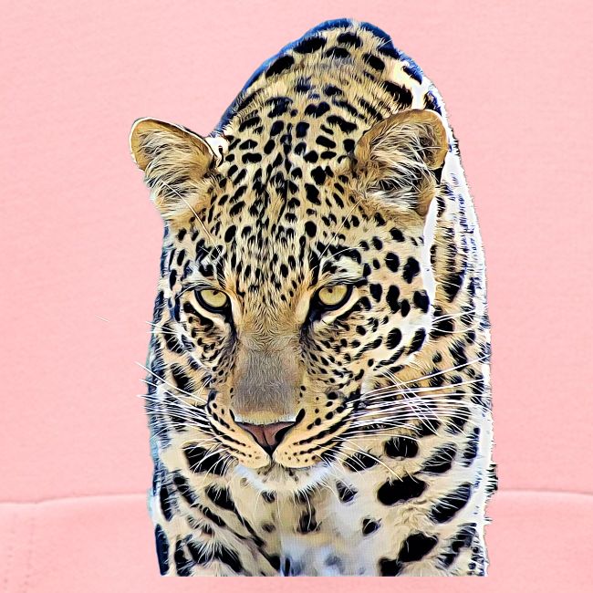 leopard