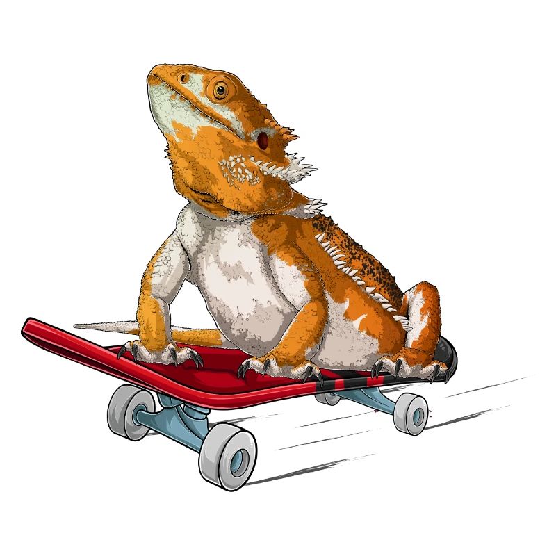 Bartdrache auf einem Skateboard
