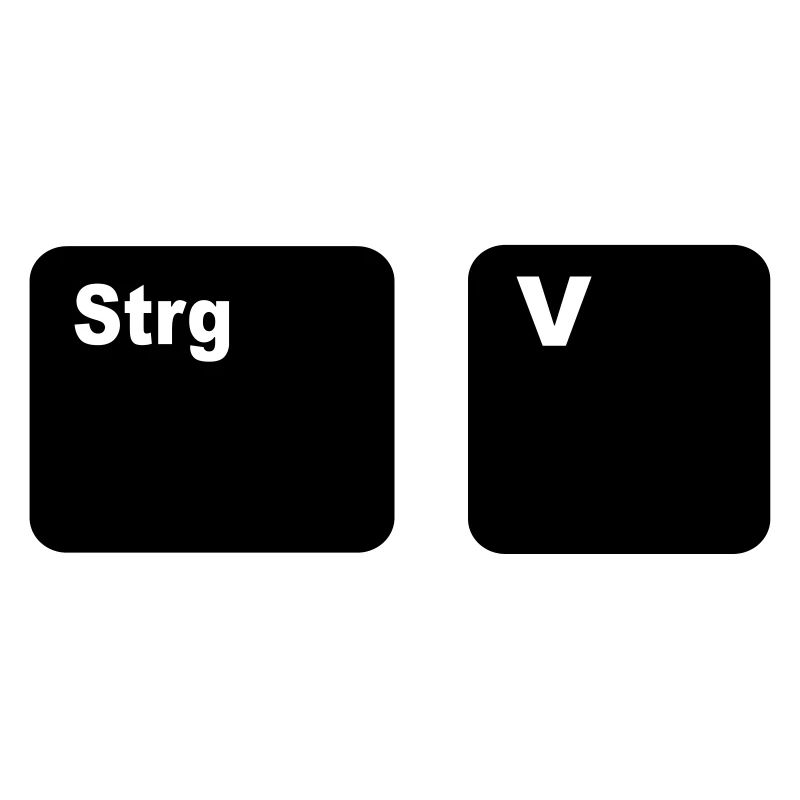 Strg + V Copy and Paste