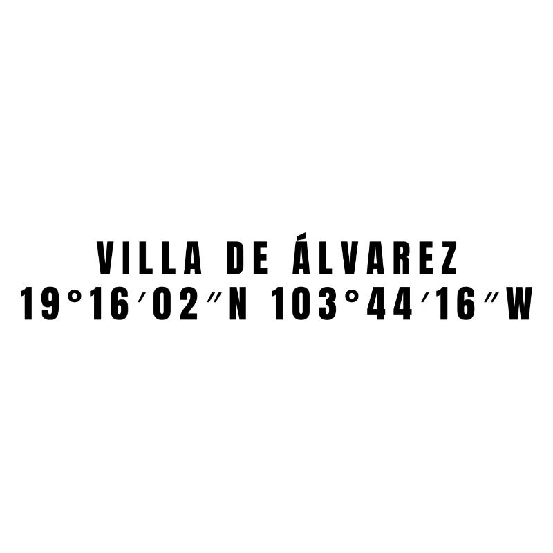 Villa de Álvarez, Mexico Coordinates
