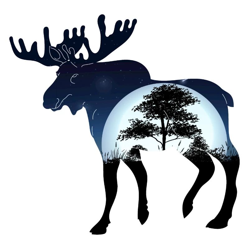 Elg om natten