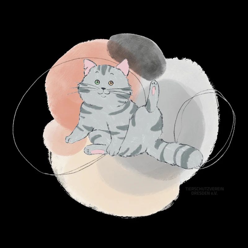 🐾 Grau getigerte Katze🐱