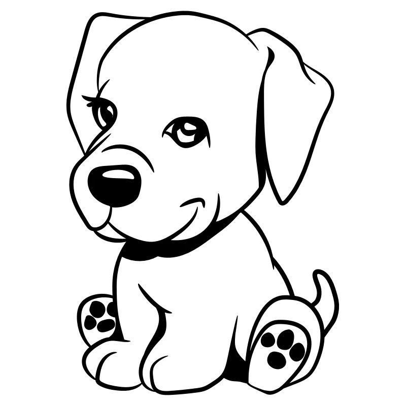 Chien doux bébé mignon