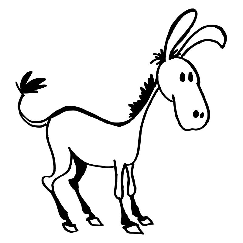 Donkey