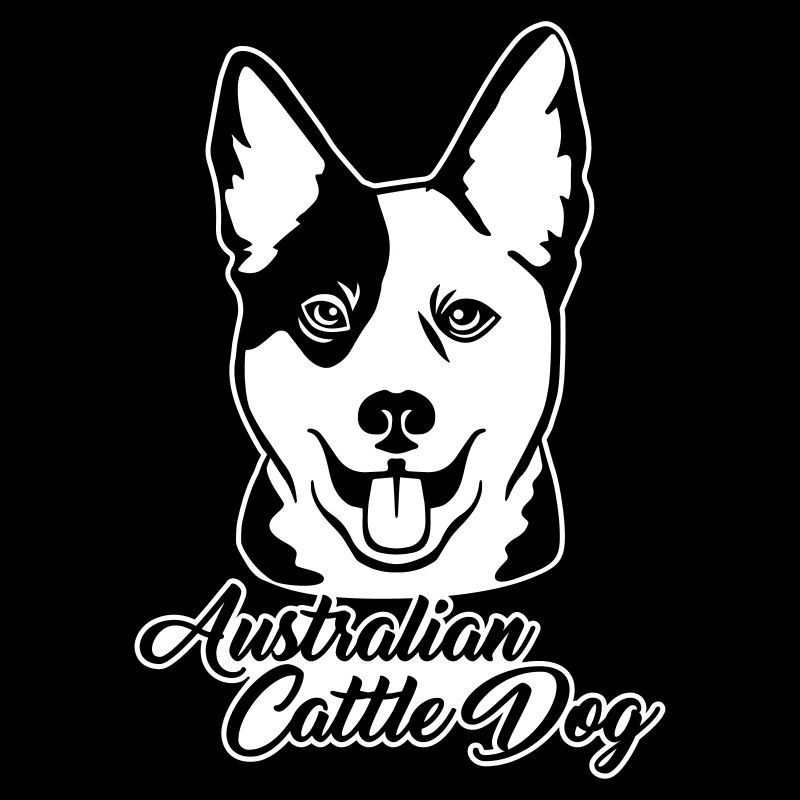 Australian cattle dog