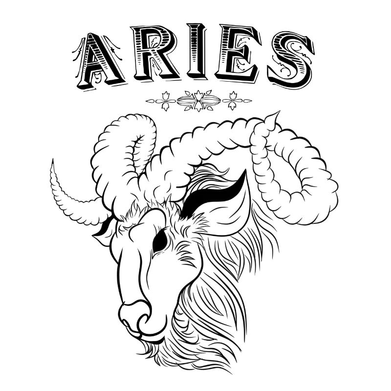 Aries Sternzeichen Widder