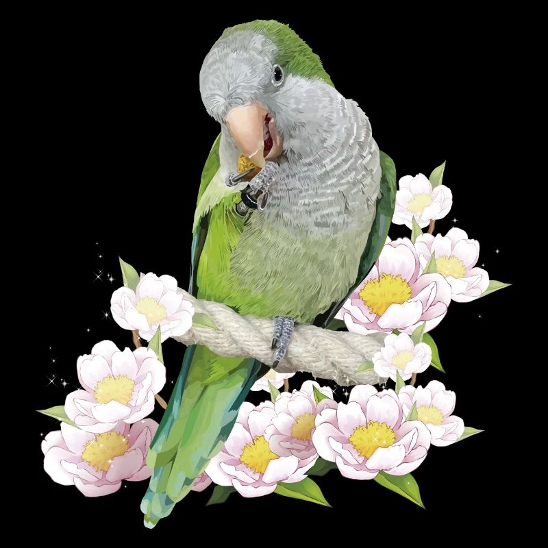 Perruche d’Argentine