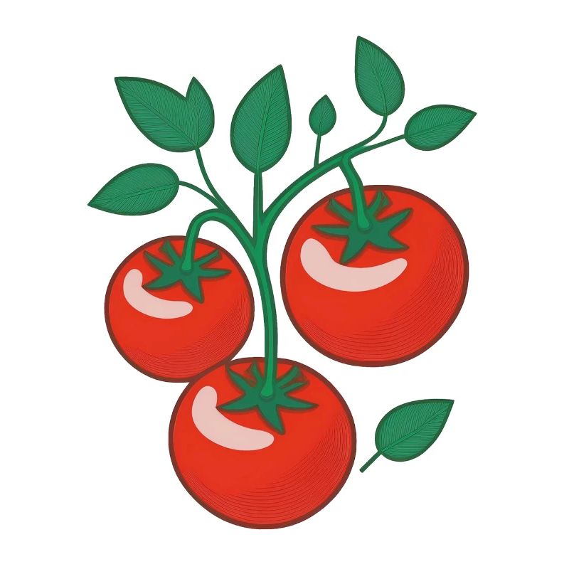 Tomatoes