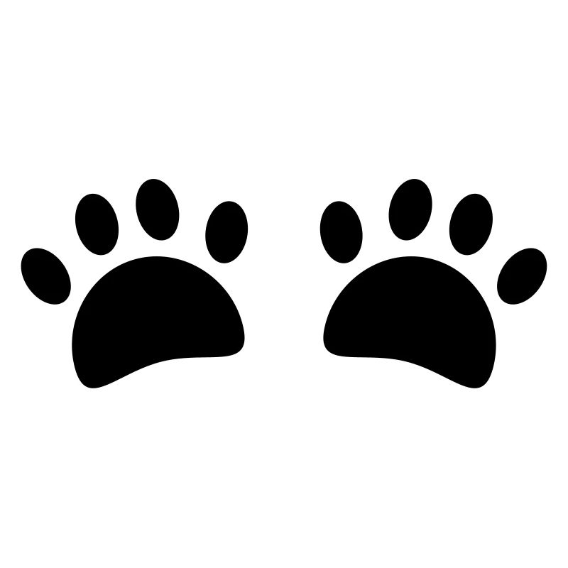 Pattes de chat
