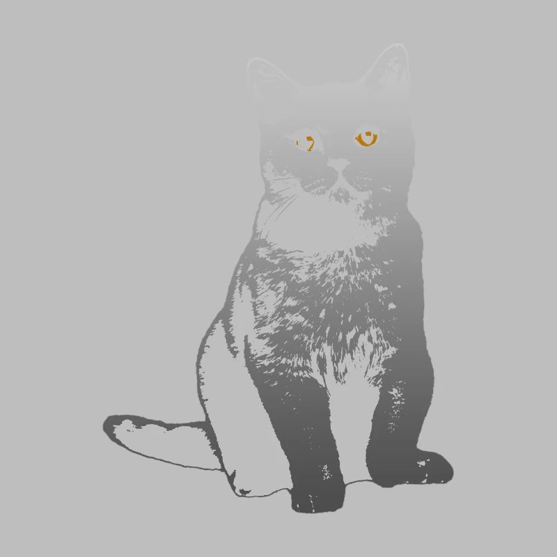 chat
