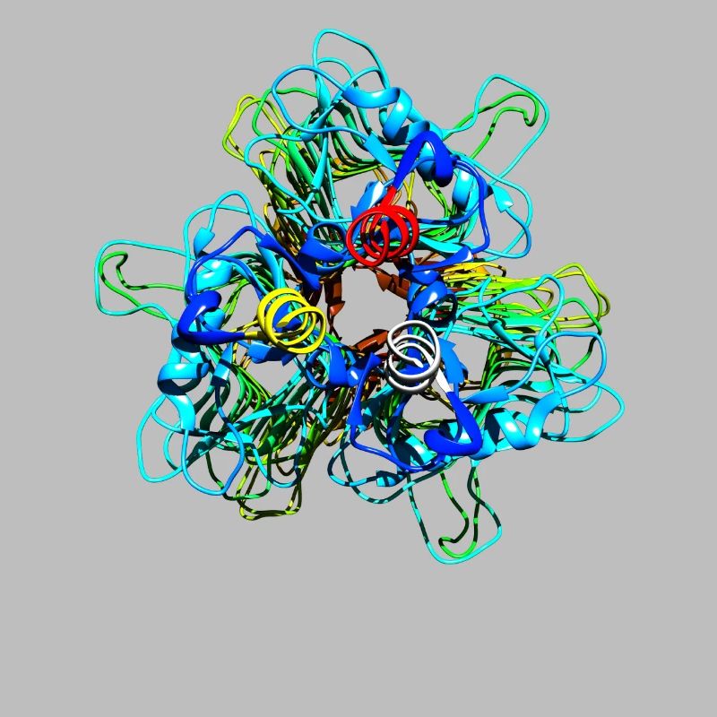 Native Tailspike Protein Molecule Bacteriophage