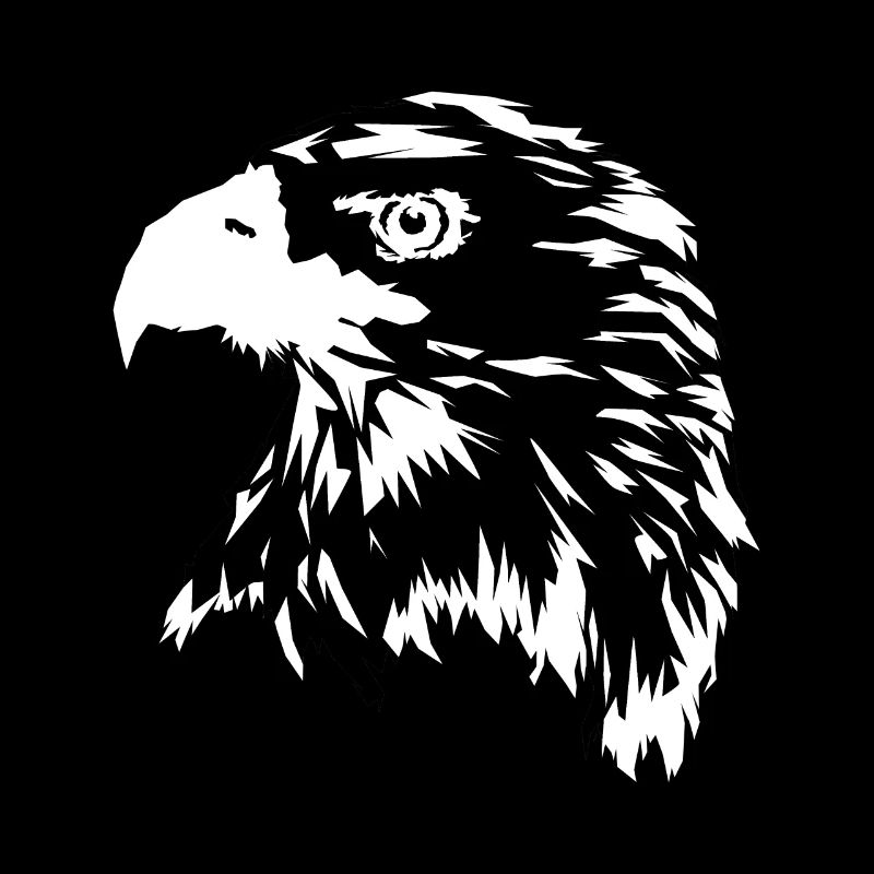 Aigle en blanc