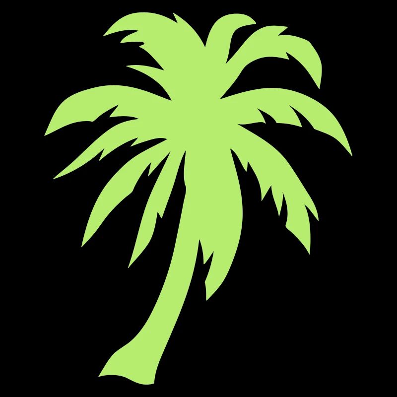palm tree 3062