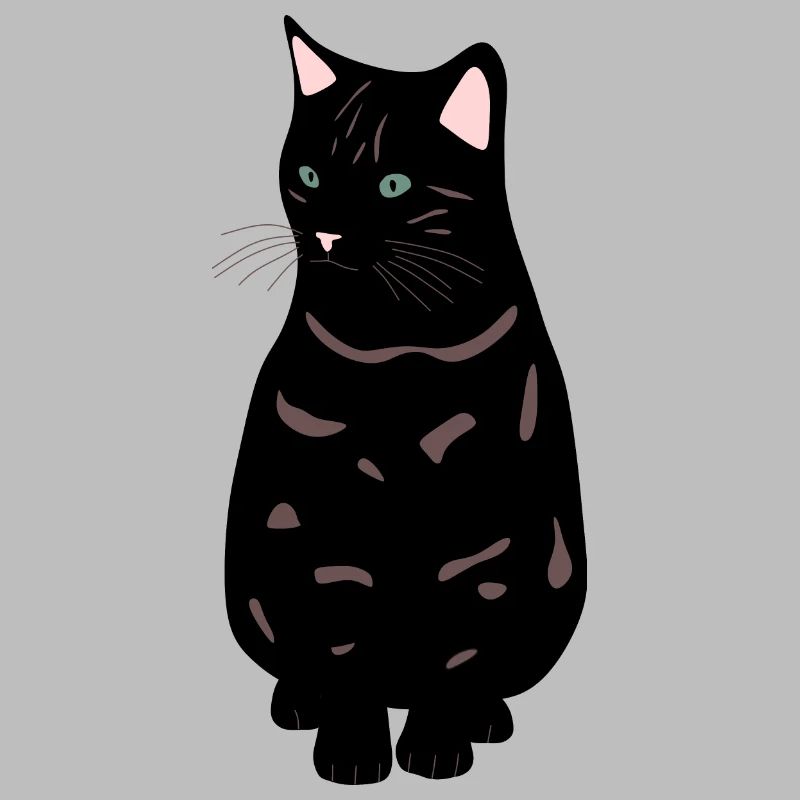 chat noir