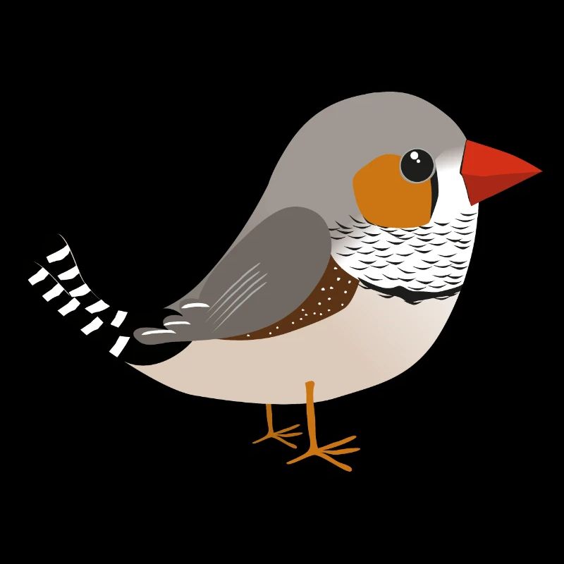 Zebravink numérique