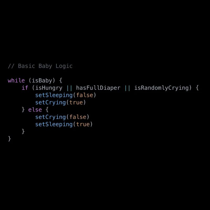 Programmer baby logic