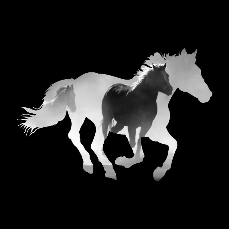 Pferd Galopp
