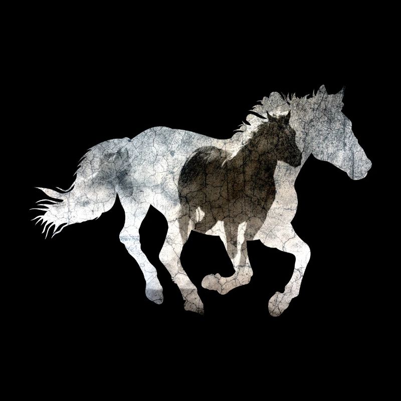 Galloping horse
