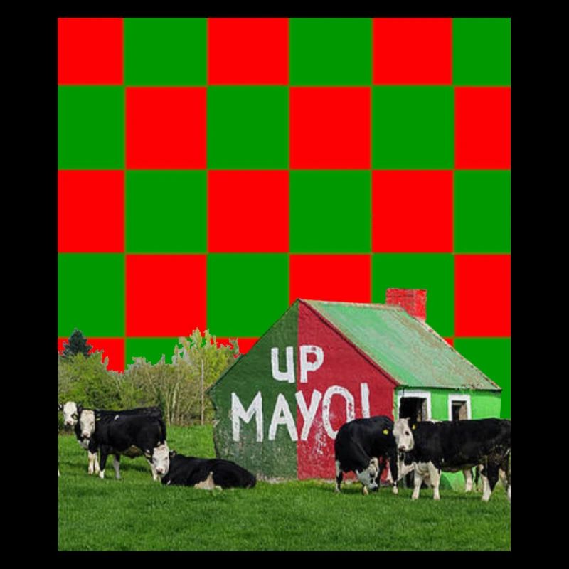 Comté de Mayo GAA