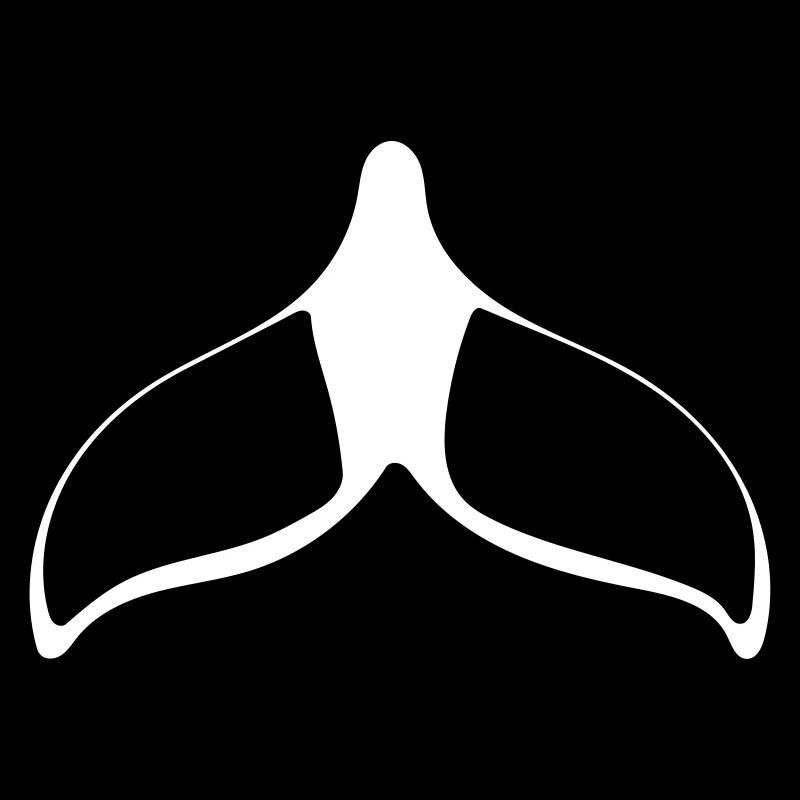 fin