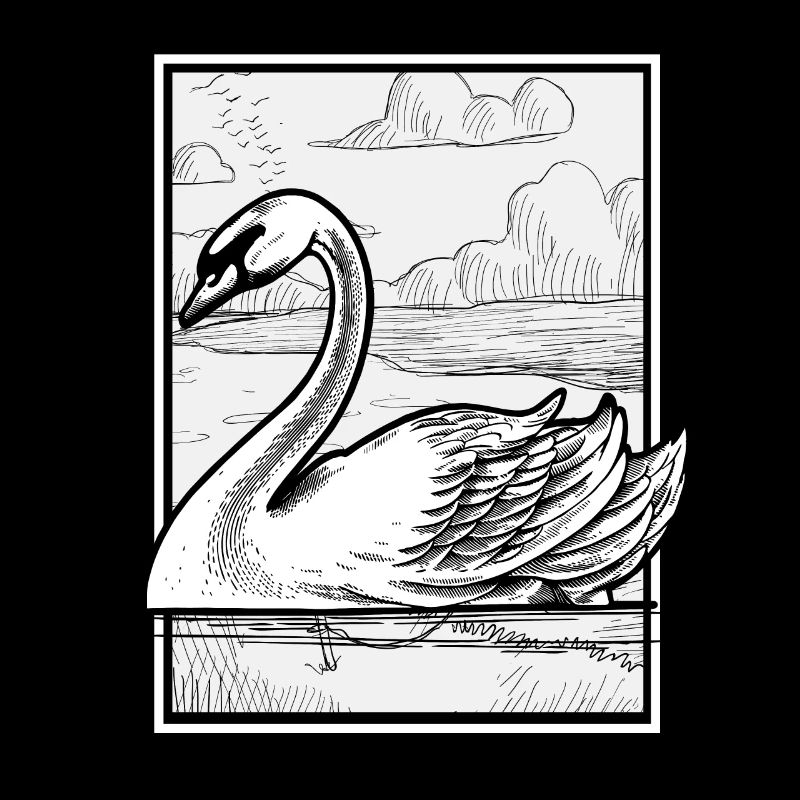 Schwan Vogel Schwäne Tier Natur See Geschenk