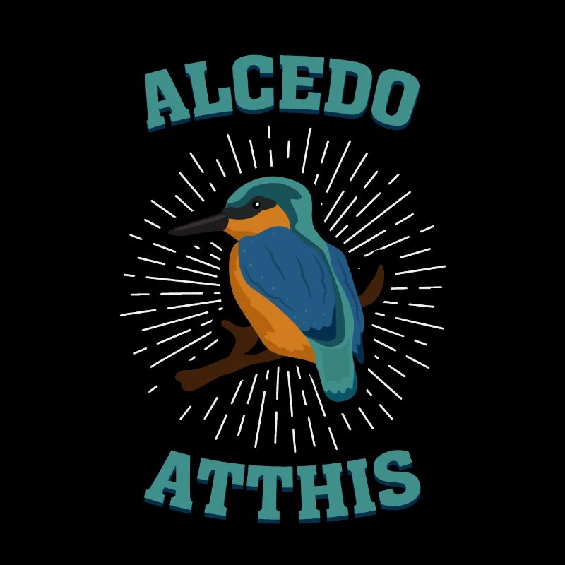 Alcedo atthis Eisvogel Kingfisher Vogelart