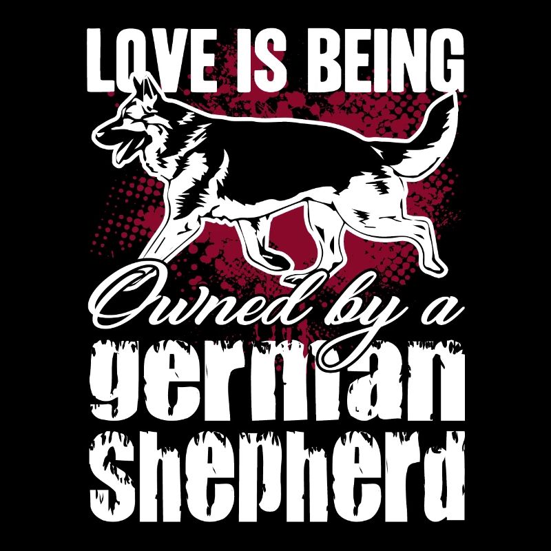Deutscher Schäferhund im Besitz des Deutschen Schäferhundes