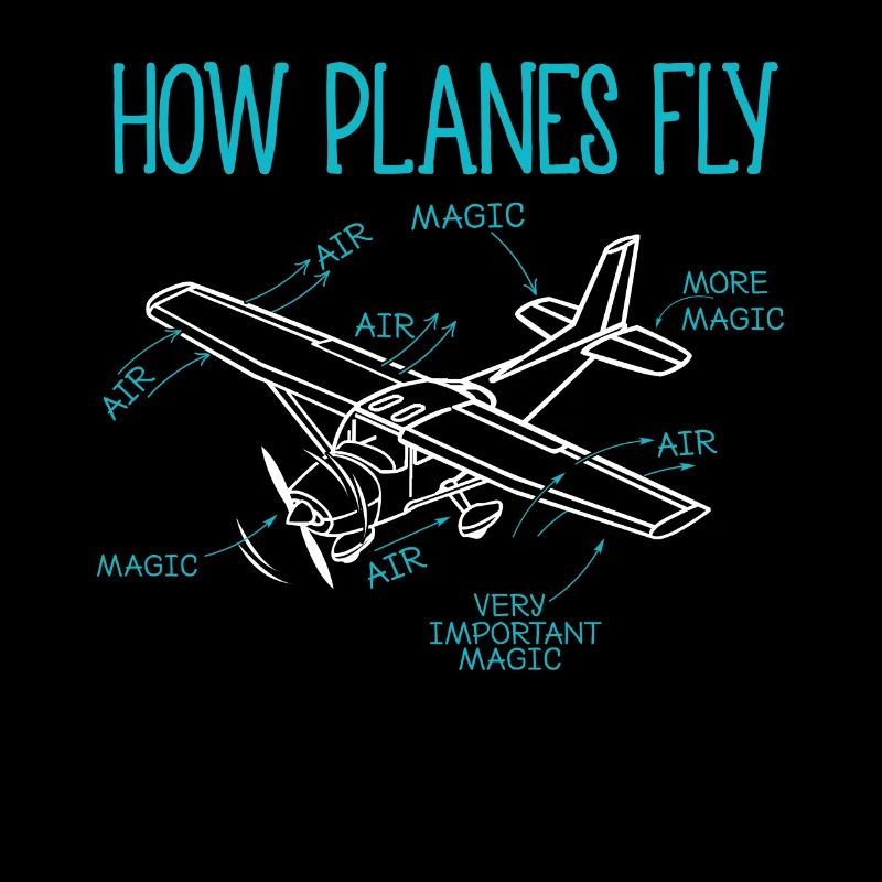 How Planes Fly Aircraft Pilot Co-pilot Aviator Air