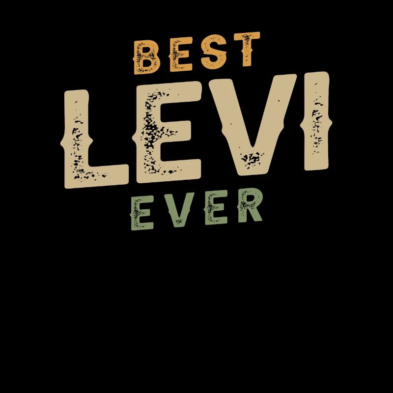 Best Levi Personalized Name Funny
