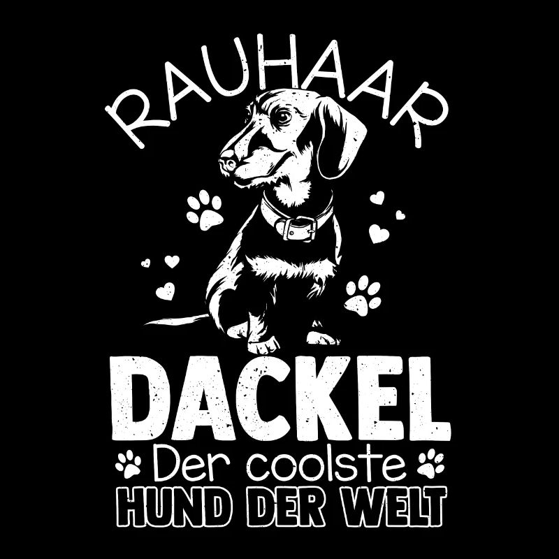 Dackel Rauhaardackel, der coolste Hund der Welt Sp
