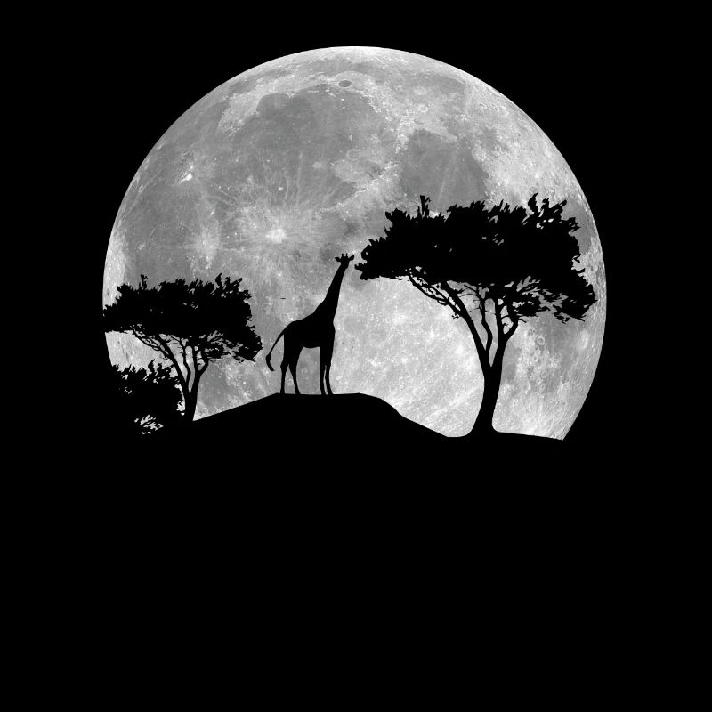 Giraffe At Night