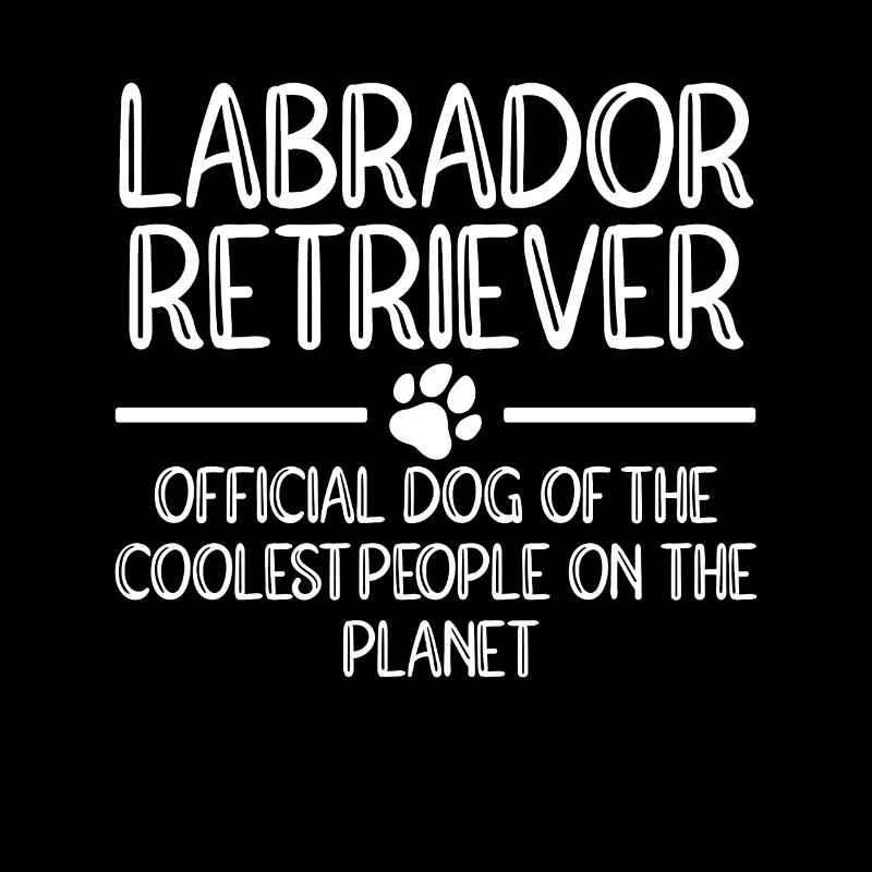 Labrador Hunde