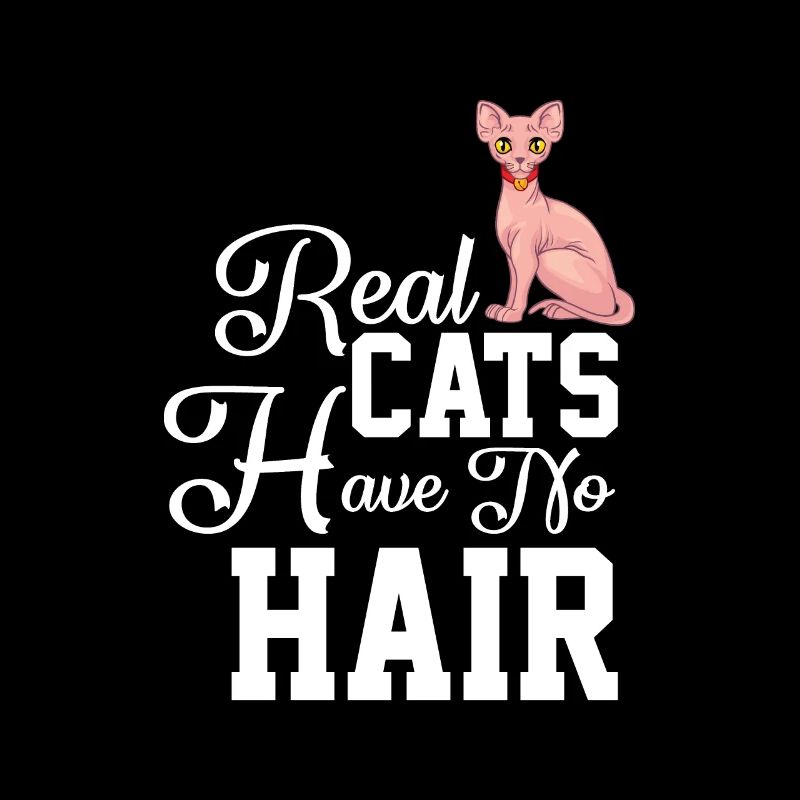 Sphynx Cat 1