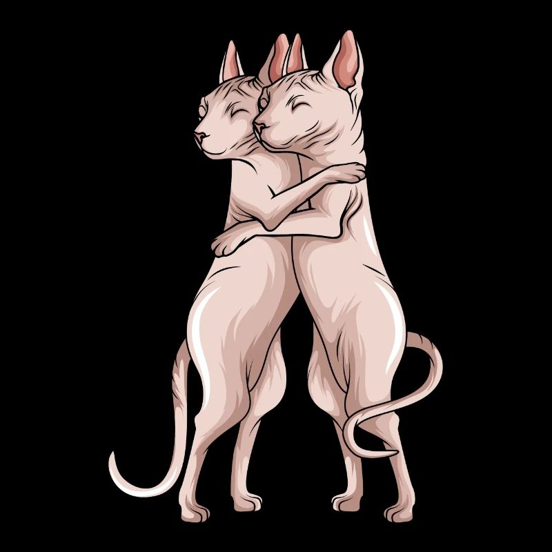 Chat Sphynx Chat Sphinx sans poils