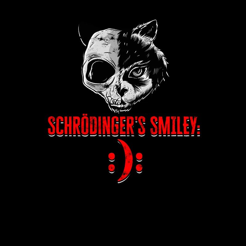 Schrodingers Katzen Quantenphysik