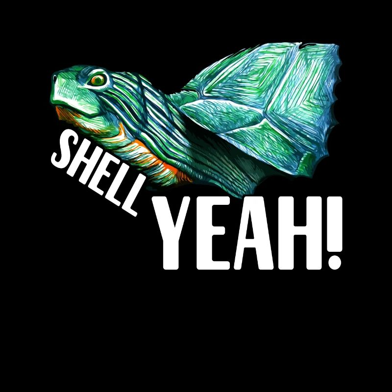 Turtle Turtle Aquatic turtle