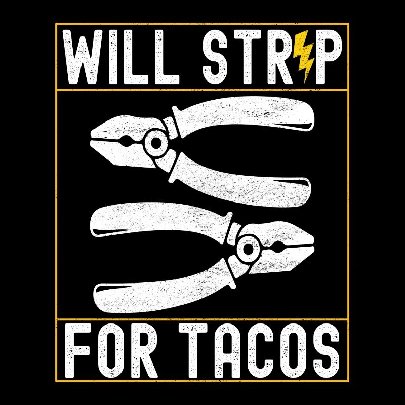 Electrician Electronics Technician